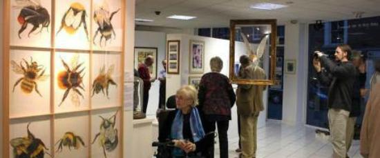 About Us – Willow Gallery Oswestry