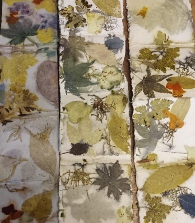 An introduction to Eco-printing on paper and fabric with Jane Hunter. Sat 16th May 2026
