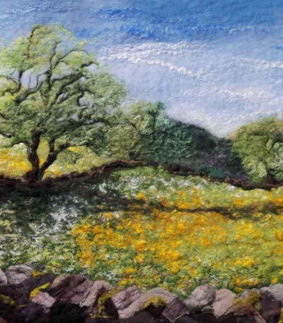 "Celebrating Summer"- Meadows, walls, hedges and edges with Susan Mulcock. Sat 19th & Sun 20th Sep 2026